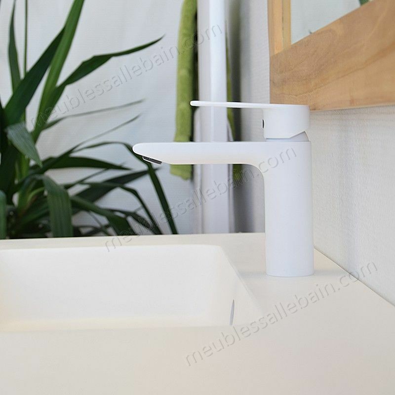 Prix Compétitif Mitigeur de lavabo blanc, Agora - Blanc - -1