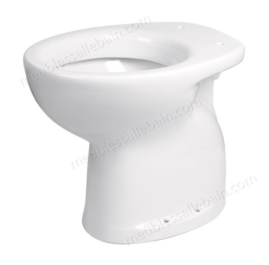 Moins Cher Toilettes en céramique pour les handicapés Idral Easy 10205 - 10215 - -0