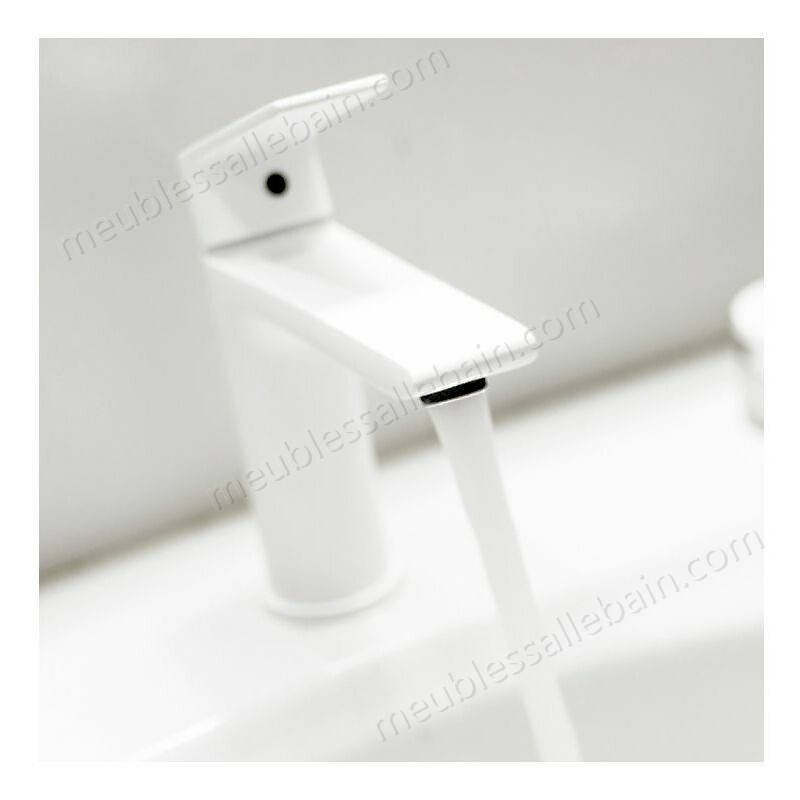 Prix Compétitif Mitigeur de lavabo blanc, Agora - Blanc - -4