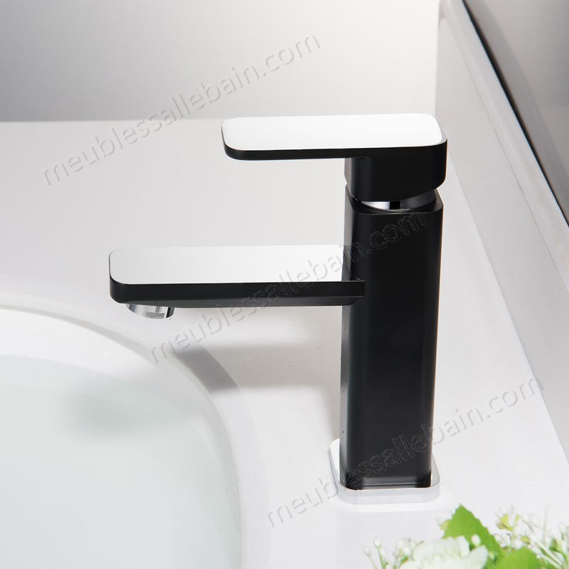 Prix Compétitif Robinet mitigeur pour lavabos vasques 1233CB chromé/noir - -3