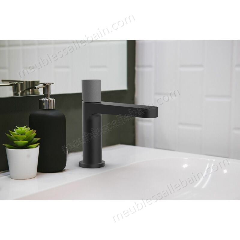 Prix Compétitif Essenera 2 mitigeur lavabo bas noir et béton - Noir - -1
